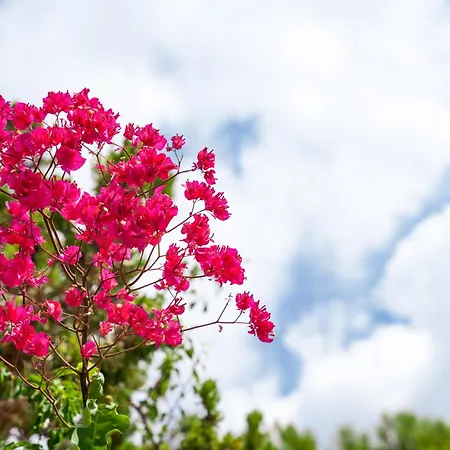 וילה Villa Ariadne - Majestic View And Relaxation