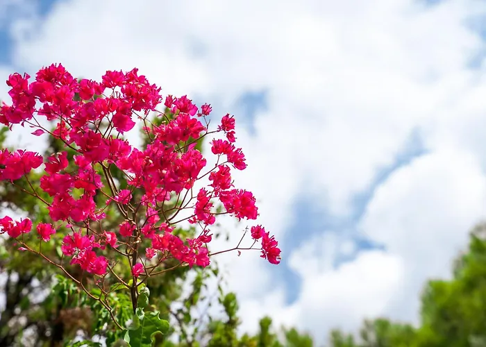 Villa Ariadne - Majestic View And Relaxation